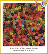 舍利子的历以及由来？舍利在人间及现状？