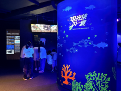 “电光侠,闪一夏”来上海海洋水族馆,与深海精灵奇遇一“夏”!